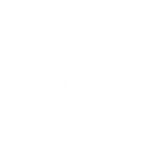 pet vaccinations icon